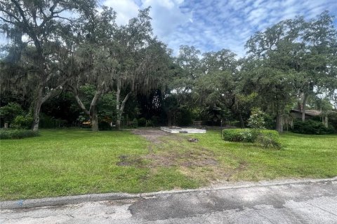 Terreno en venta en Tampa, Florida № 1301084 - foto 2