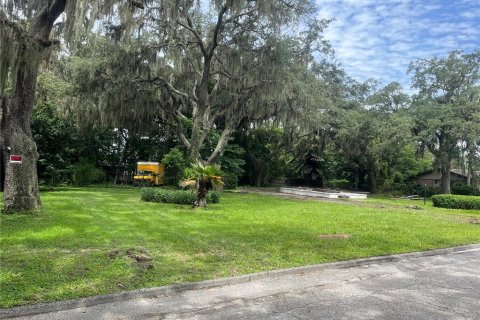 Terreno en venta en Tampa, Florida № 1301084 - foto 1