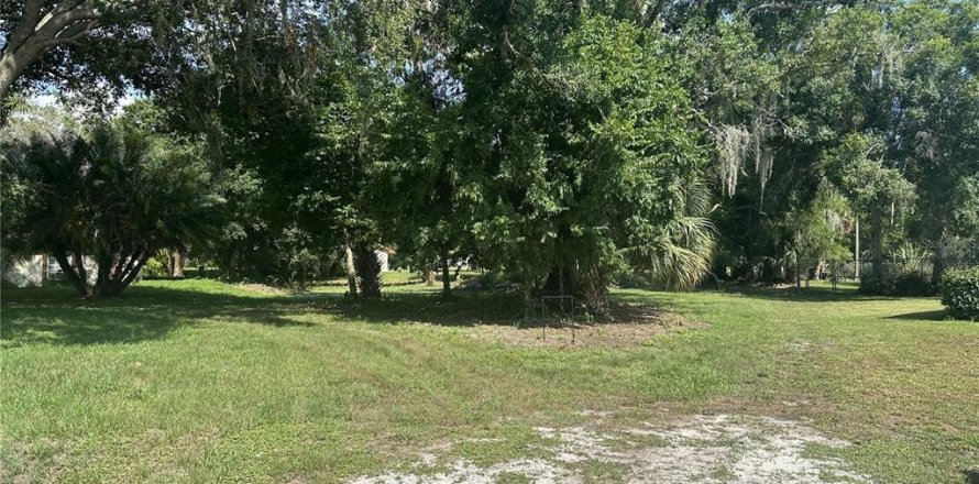 Land in Okeechobee, Florida № 1273054