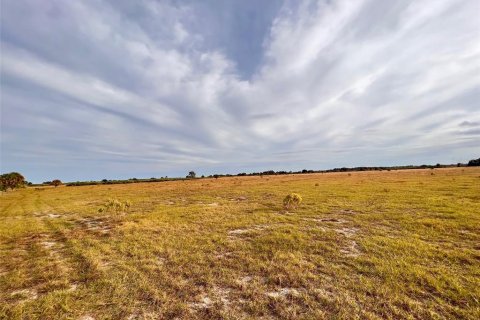 Land in Punta Gorda, Florida № 214693 - photo 13