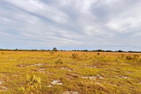 Land in Punta Gorda, Florida № 214693 - photo 4