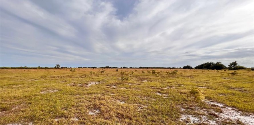 Land in Punta Gorda, Florida № 214693