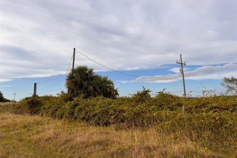 Land in Punta Gorda, Florida № 214693 - photo 10