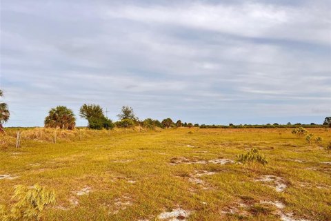 Terreno en venta en Punta Gorda, Florida № 214693 - foto 5