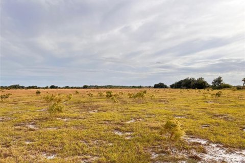 Land in Punta Gorda, Florida № 214693 - photo 12